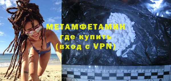 прущие грибы Богородицк